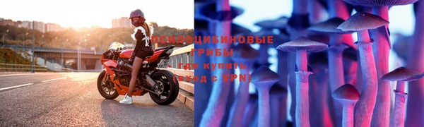 винт Вяземский