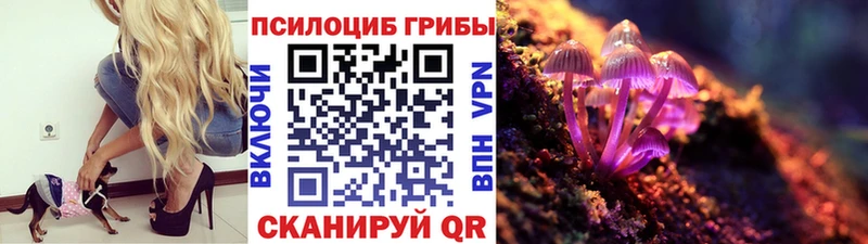Псилоцибиновые грибы мицелий  купить наркотик  Дзержинский 
