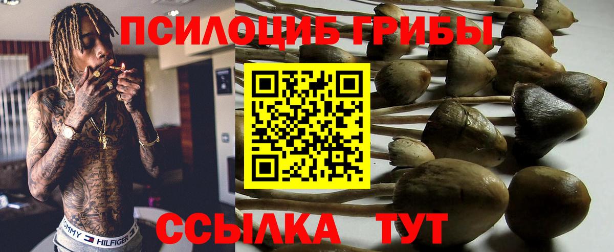 Галлюциногенные грибы мухоморы  Дзержинский  даркнет сайт  Псилоцибиновые грибы Psilocybine cubensis 