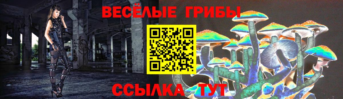 Псилоцибиновые грибы MAGIC MUSHROOMS Дзержинский