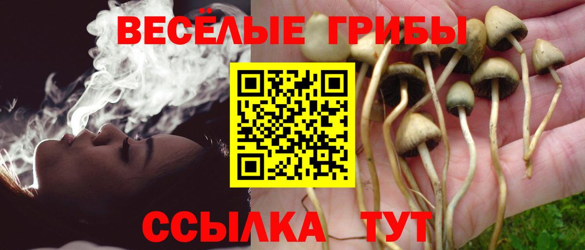 купить наркотики сайты  Вход с VPN  Галлюциногенные грибы Magic Shrooms  Дзержинский  Галлюциногенные грибы GOLDEN TEACHER 